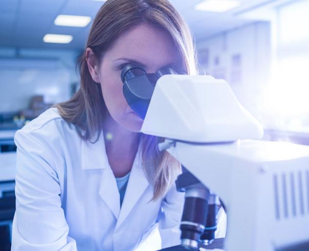 New Product Data Management